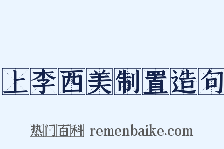 上李西美制置造句是什么意思的图片